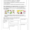 Afrikaans Huistaal Gr. 5 Assesseringstaak 2025 Kwartaal 2 - Image 3