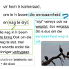 PowerPoint: Afrikaans EAT Gr. 11 2025 Die tarentaal - Image 4