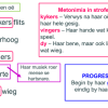 PowerPoint: Afrikaans EAT Gr. 11 2025 Katie Melua - Image 2