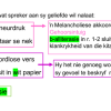 PowerPoint: Afrikaans EAT Gr. 11 2025 Testament - Image 4