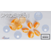PowerPoint: Afrikaans EAT Gr. 12 2025 Sproeireën