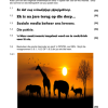 Afrikaans Huistaal Gr. 11 Assesseringstaak 2025 Kwartaal 2 Take 5 & 6 - Image 4