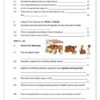 Social Sciences Geography Gr. 6 Assessment Task 2025 Term 2 - Image 4