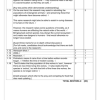 English FAL Gr. 10 Assessment Task 2025 Term 2 Paper 1 - Image 3
