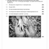 Afrikaans EAT Gr. 12 Assesseringstaak 2025 Kwartaal 3 Vraestel 3 - Image 2