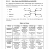English FAL Gr. 4 Assessment Task 2025 Term 3 - Image 3