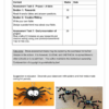 English FAL Gr. 5 Assessment Task 2025 Term 3 - Image 5