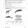 Wiskunde Gr. 5 Assesseringstaak 2025 Kwartaal 3 - Image 2