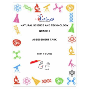 Natural Sciences and Technology Gr. 6 Assessment Task 2025 Term 4