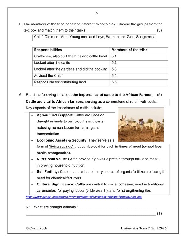 Social Sciences History Gr. 5 Assessment Task 2026 Term 2 - Image 4