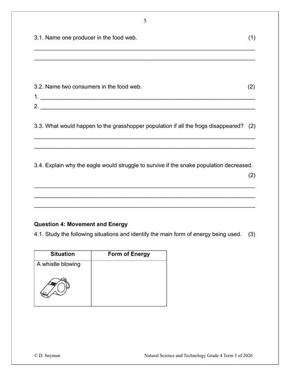Natural Sciences and Technology Gr. 4 Assessment Task 2026 Term 3 - Image 3