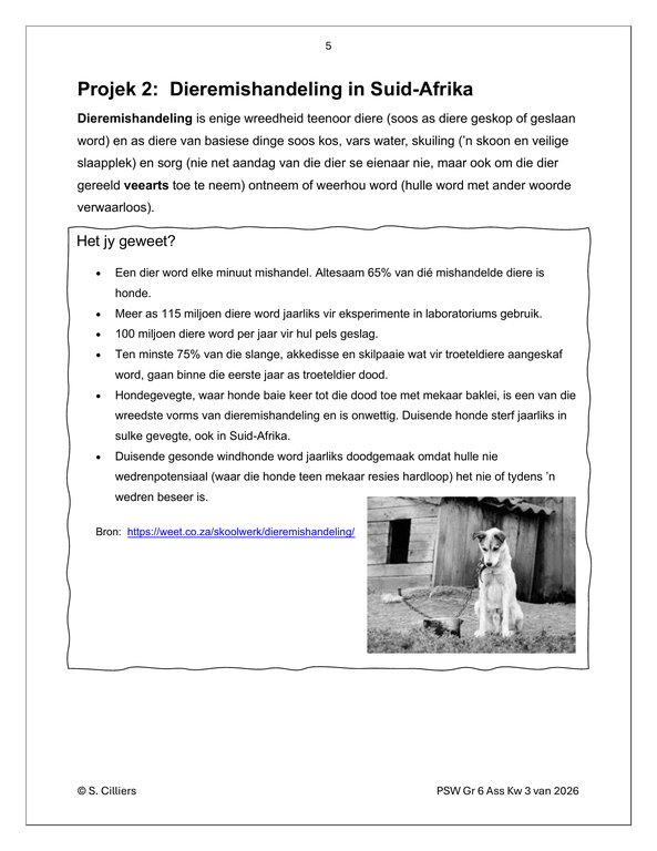 Lewensvaardighede (PSW) Gr. 6 Assesseringstaak 2026 Kwartaal 3 - Image 5