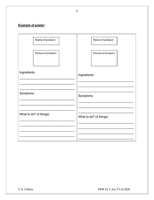 Life Skills (PSW) Gr. 5 Assessment Task 2026 Term 3 - Image 5
