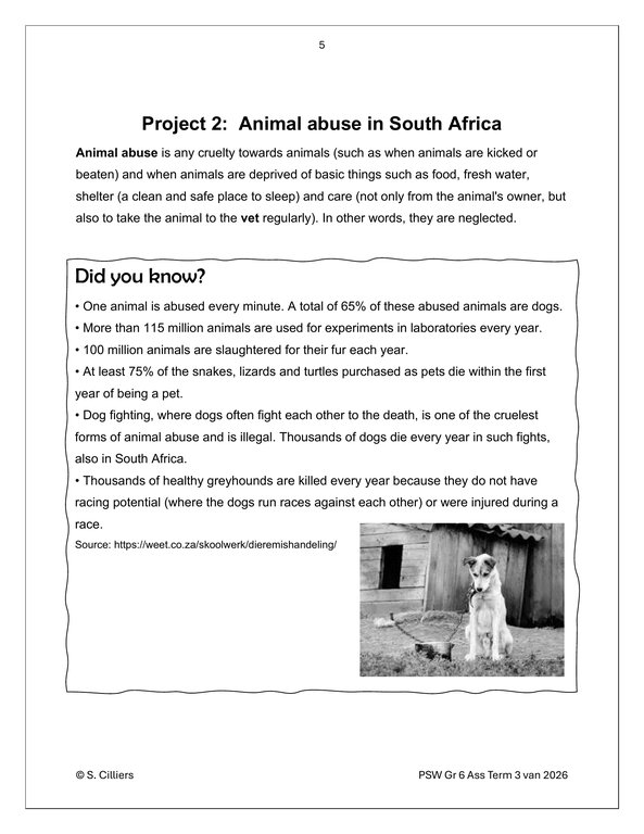 Life Skills (PSW) Gr. 6 Assessment Task 2026 Term 3 - Image 4