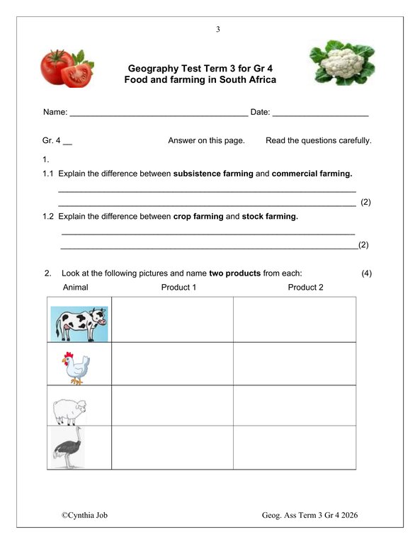 Social Sciences Geography Gr. 4 Assessment Task 2026 Term 3 - Image 3