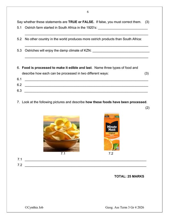 Social Sciences Geography Gr. 4 Assessment Task 2026 Term 3 - Image 4