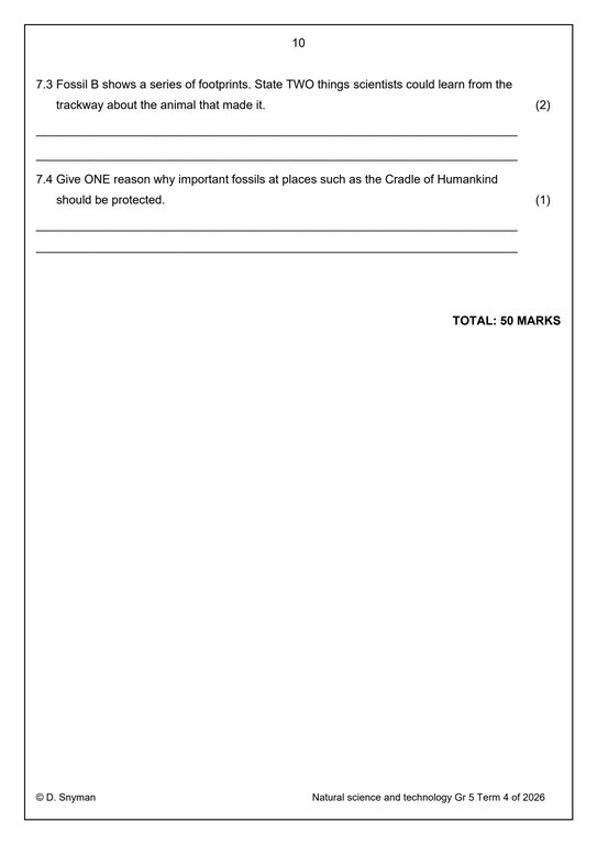 Natural Sciences and Technology Gr. 5 Assessment Task 2026 Term 4 - Image 3