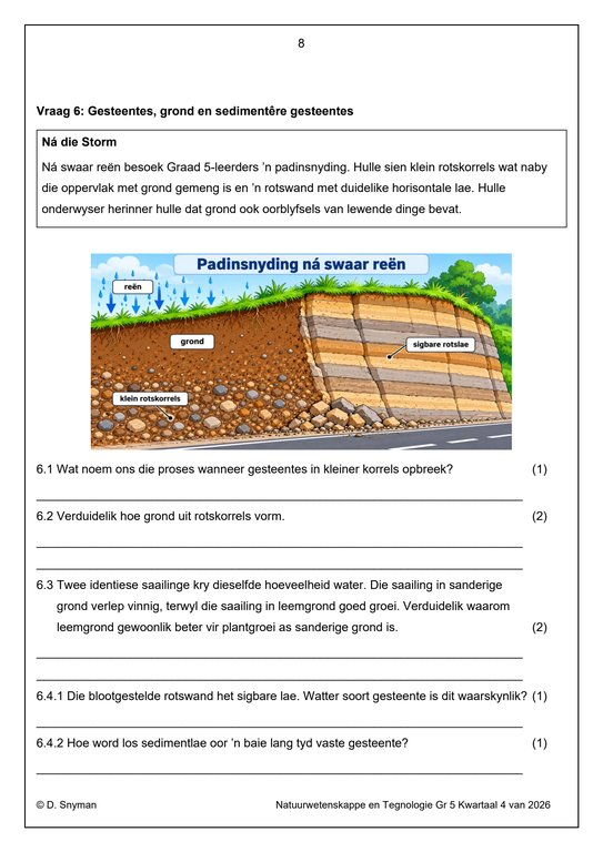 Natuurwetenskap en Tegnologie Gr. 5 Assesseringstaak 2026 Kwartaal 4 - Image 4