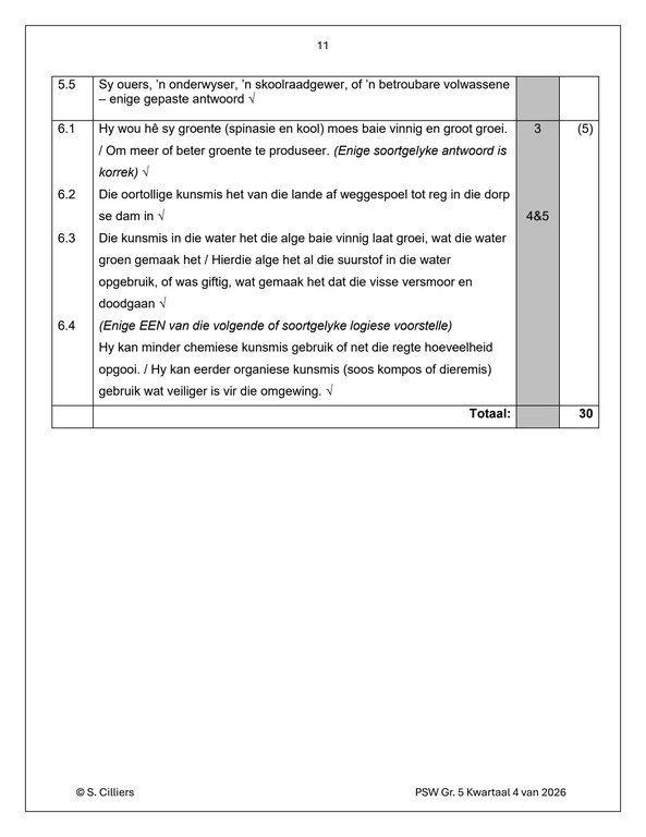 Lewensvaardighede (PSW) Gr. 5 Assesseringstaak 2026 Kwartaal 4 - Image 5